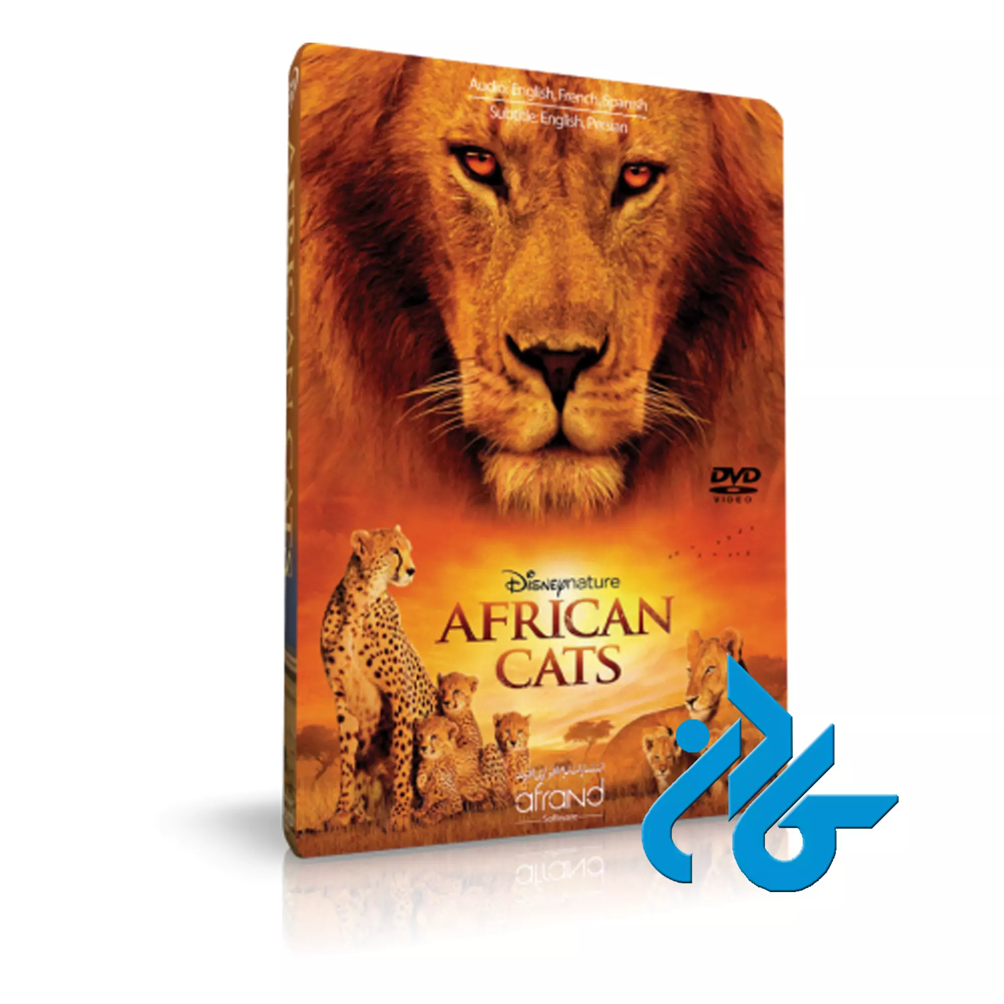 . AFRICAN CATS