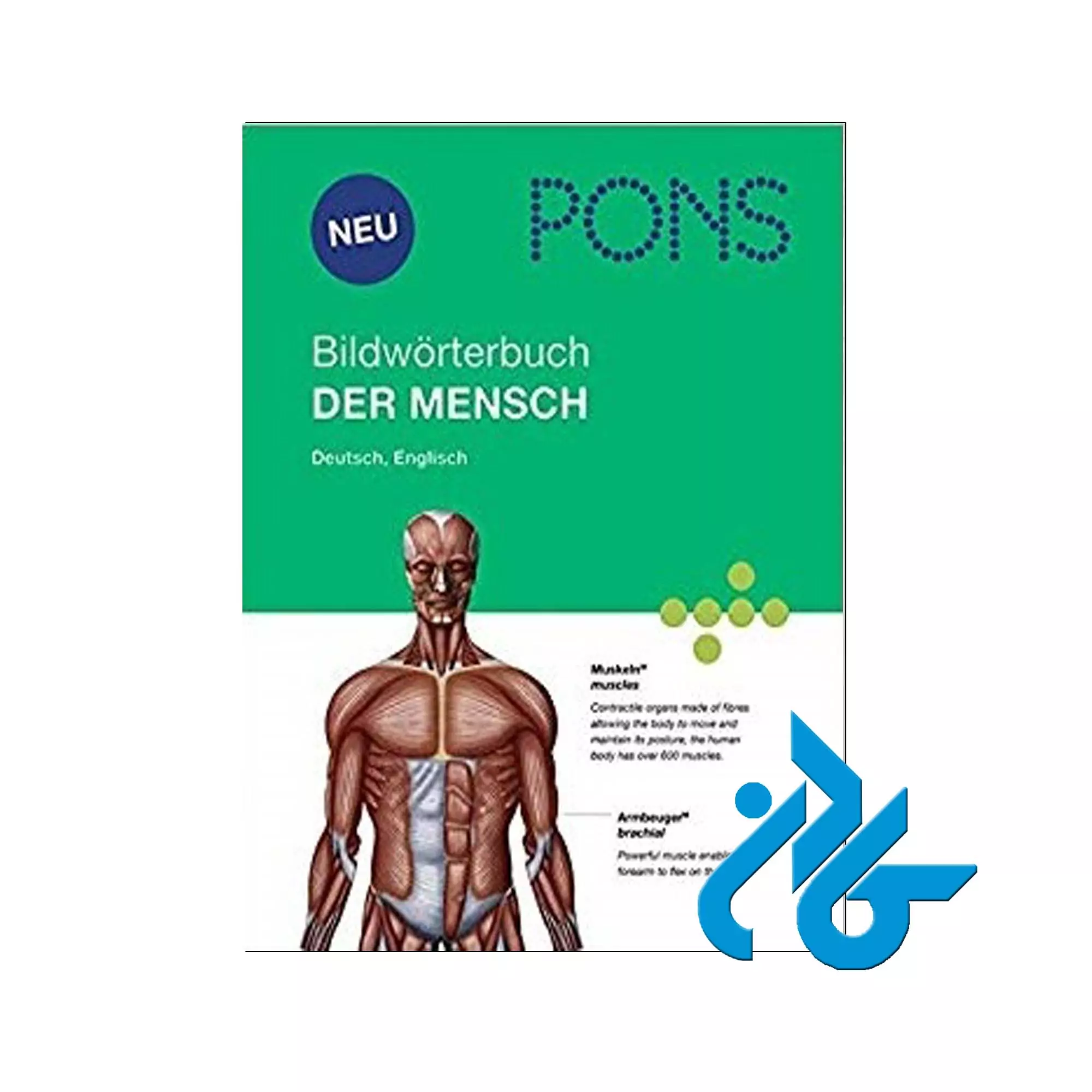 کتاب PONS Bildworterbuch Der Mensch Bildworterbuch