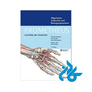 Allgemeine Anatomie