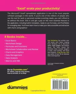 کتاب Excel All-in-One For Dummies - تصویر 2