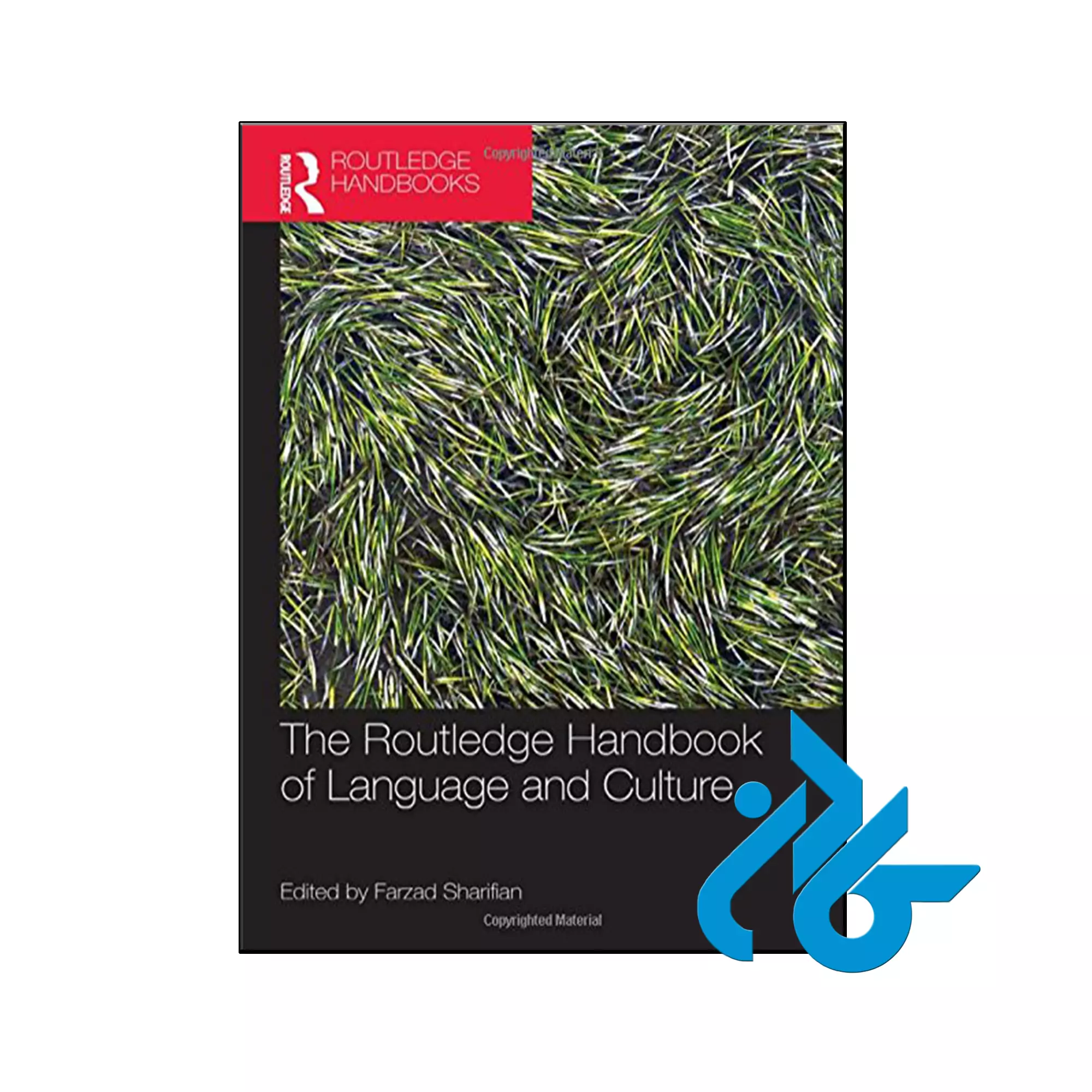 The Routledge Handbook of Language and Culture زبانشناسی خرید و قیمت کتاب The Routledge Handbook of Language and Culture از فروشگاه کادن