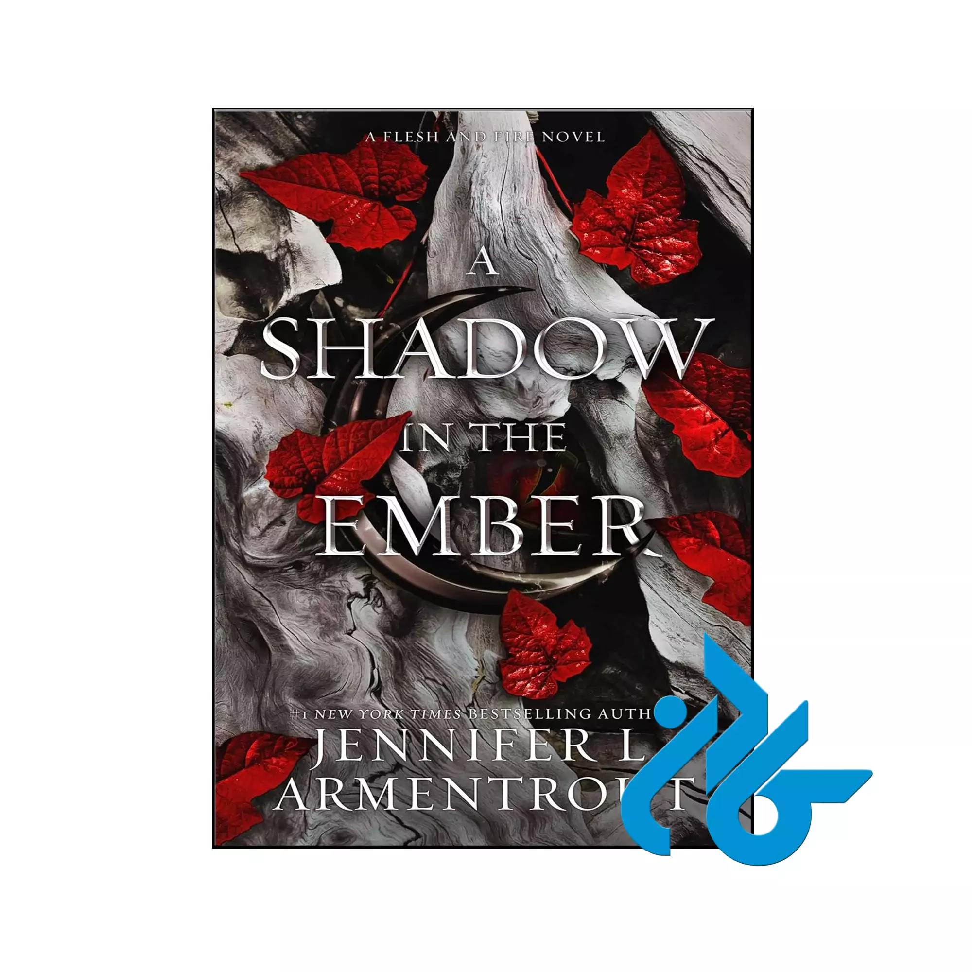A Shadow in the Ember عاشقانه خرید و قیمت کتاب A Shadow in the Ember از فروشگاه کادن