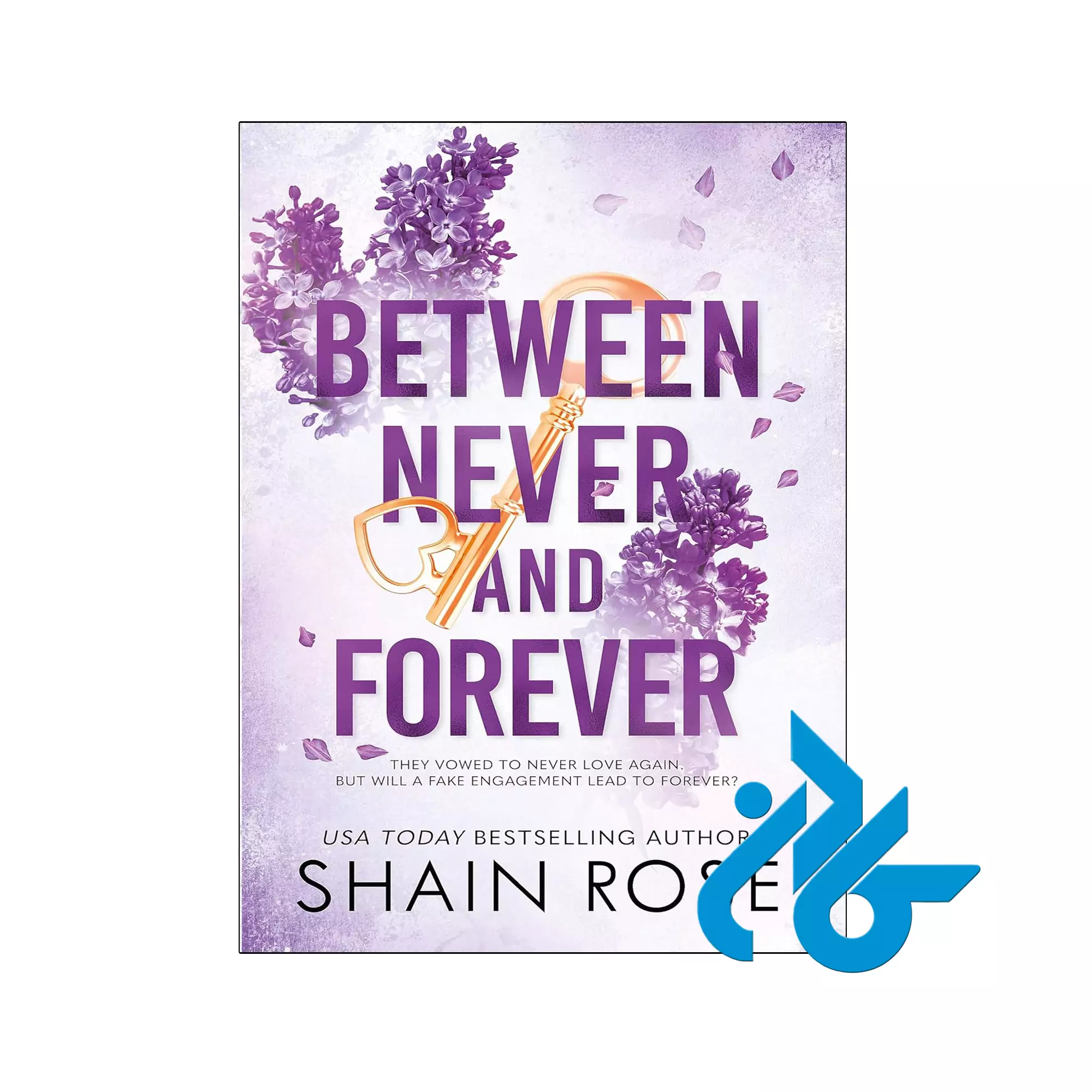 BETWEEN NEVER AND FOREVER خرید و قیمت کتاب Between Never and Forever از فروشگاه کادن