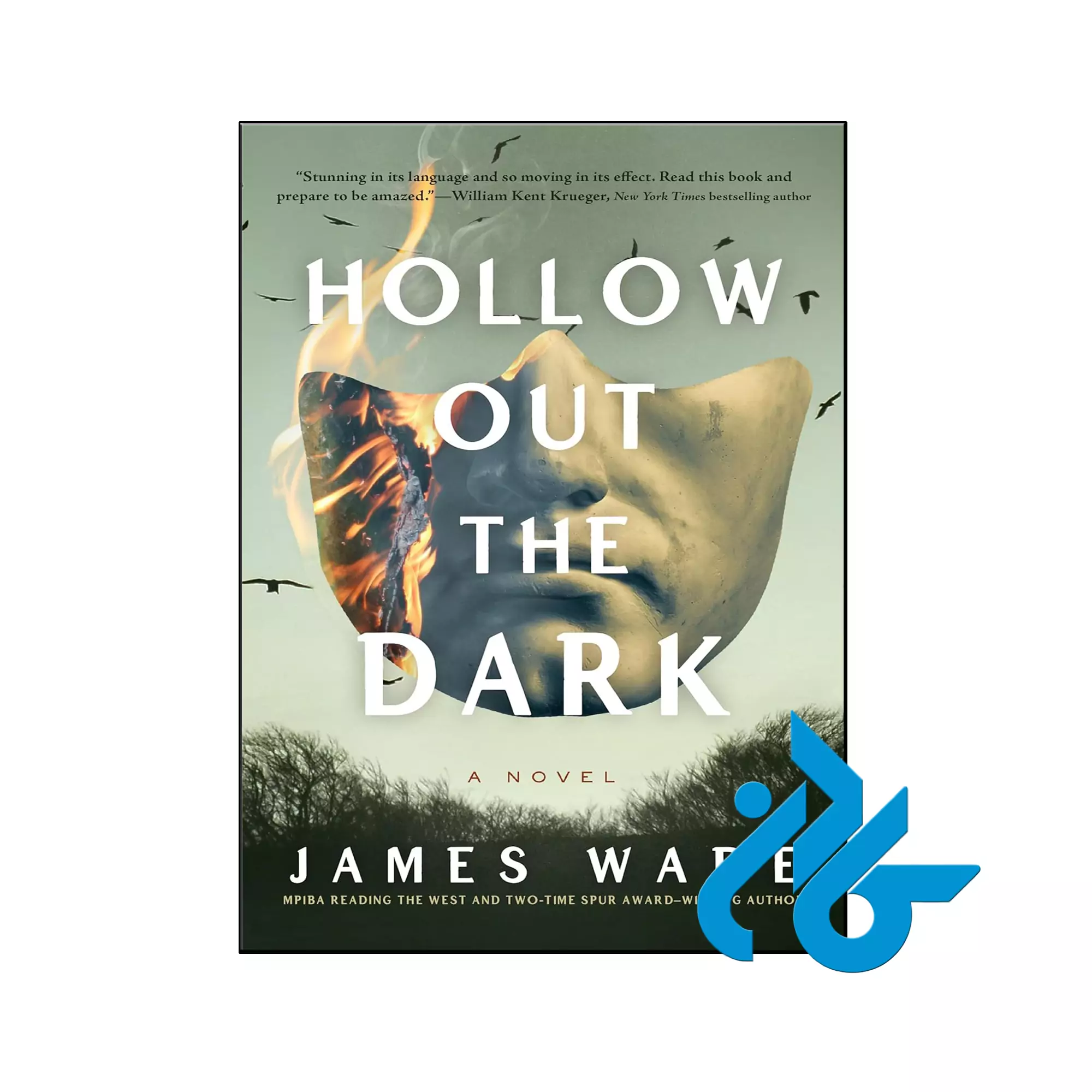 Hollow Out the Dark معمایی خرید و قیمت کتاب Hollow Out the Dark از فروشگاه کادن