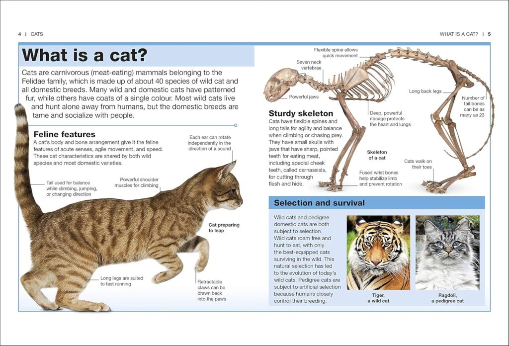 Cats Facts at Your Fingertips