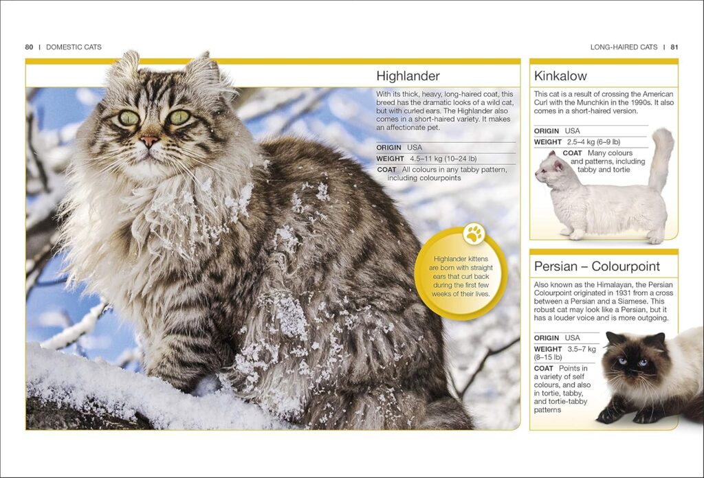 Cats Facts at Your Fingertips