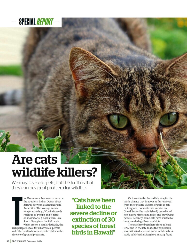 BBC Wildlife Magazine