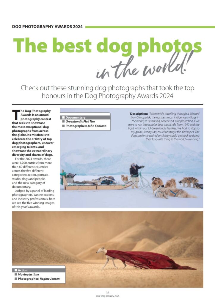 Your Dog - January 2025