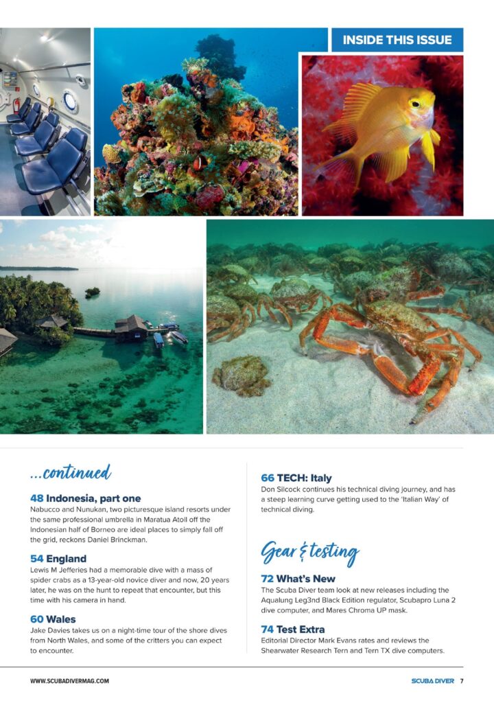 Scuba Diver Issue 82