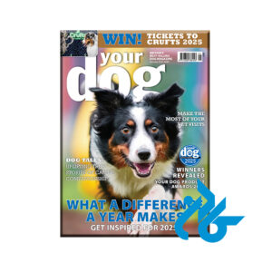 Your Dog - January 2025