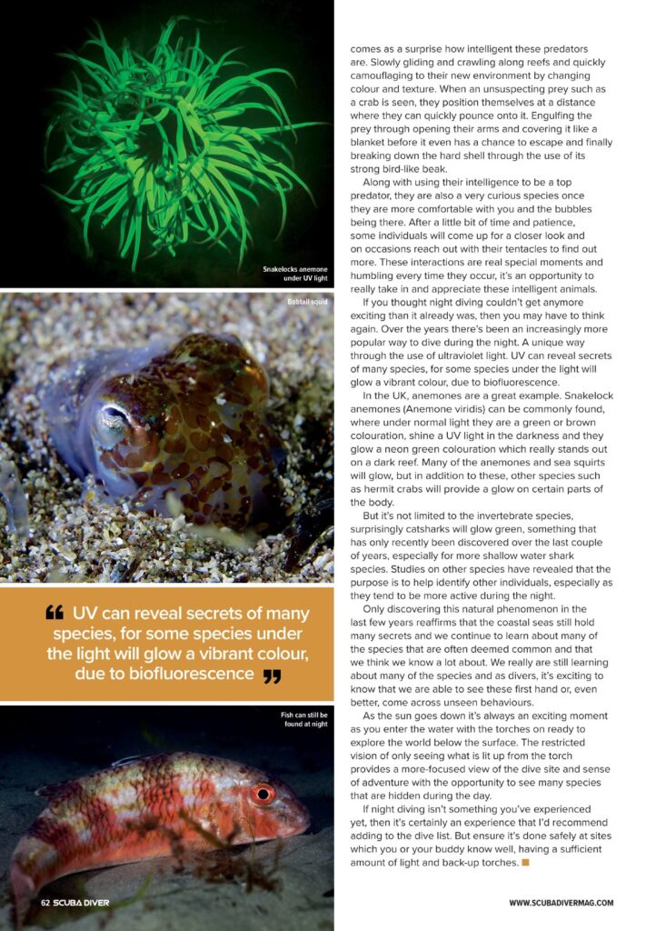 Scuba Diver Issue 82 2024