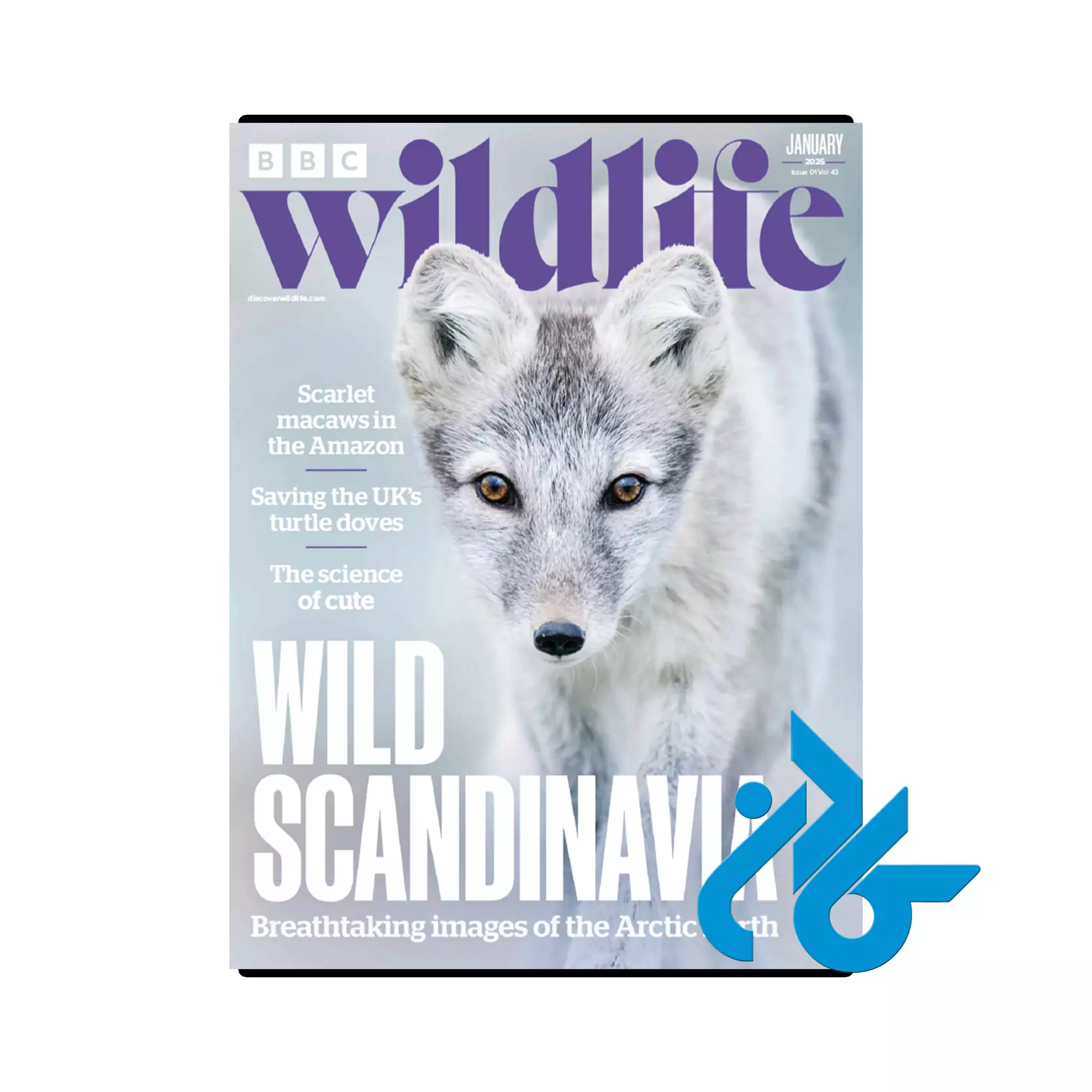 BBC Wildlife خرید و قیمت مجله انگلیسی BBC Wildlife از فروشگاه کادن