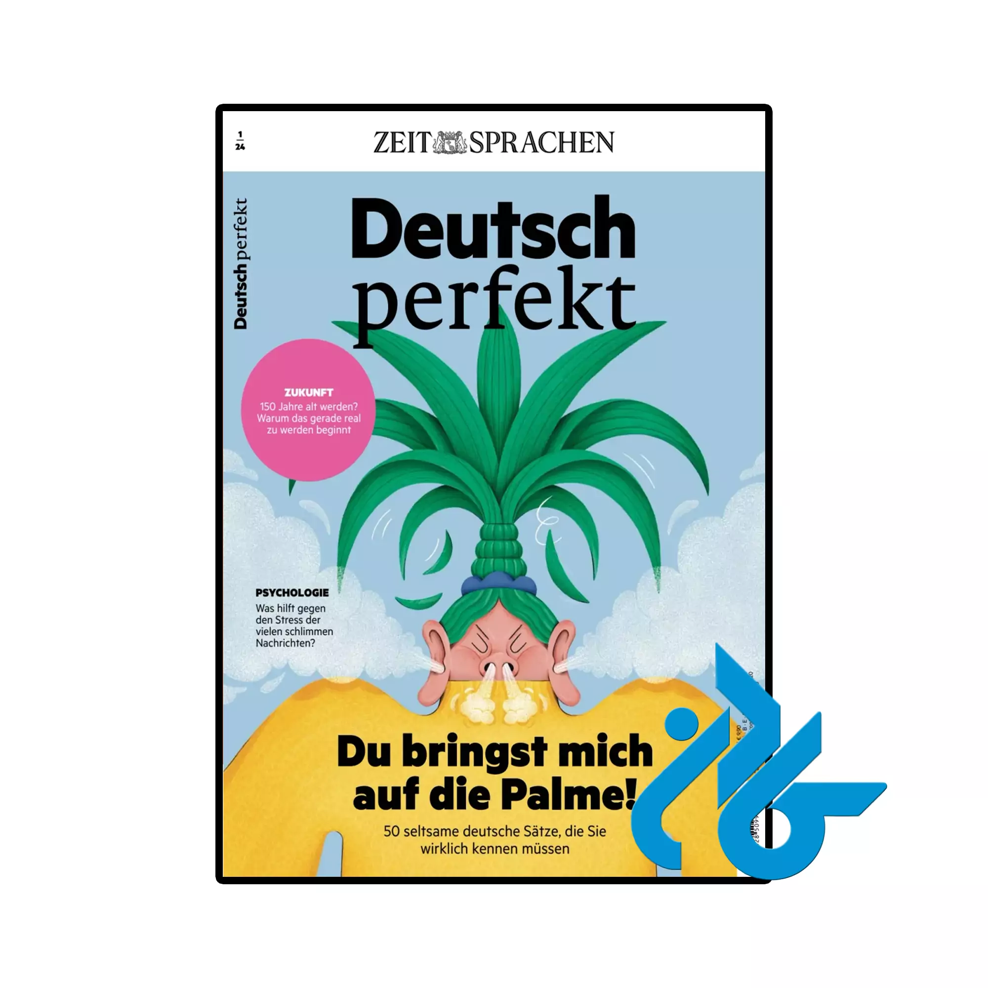 Du bringst mich auf die Palme خرید و قیمت مجله آلمانی Deutsch perfekt Du bringst mich auf die Palme از فروشگاه کادن
