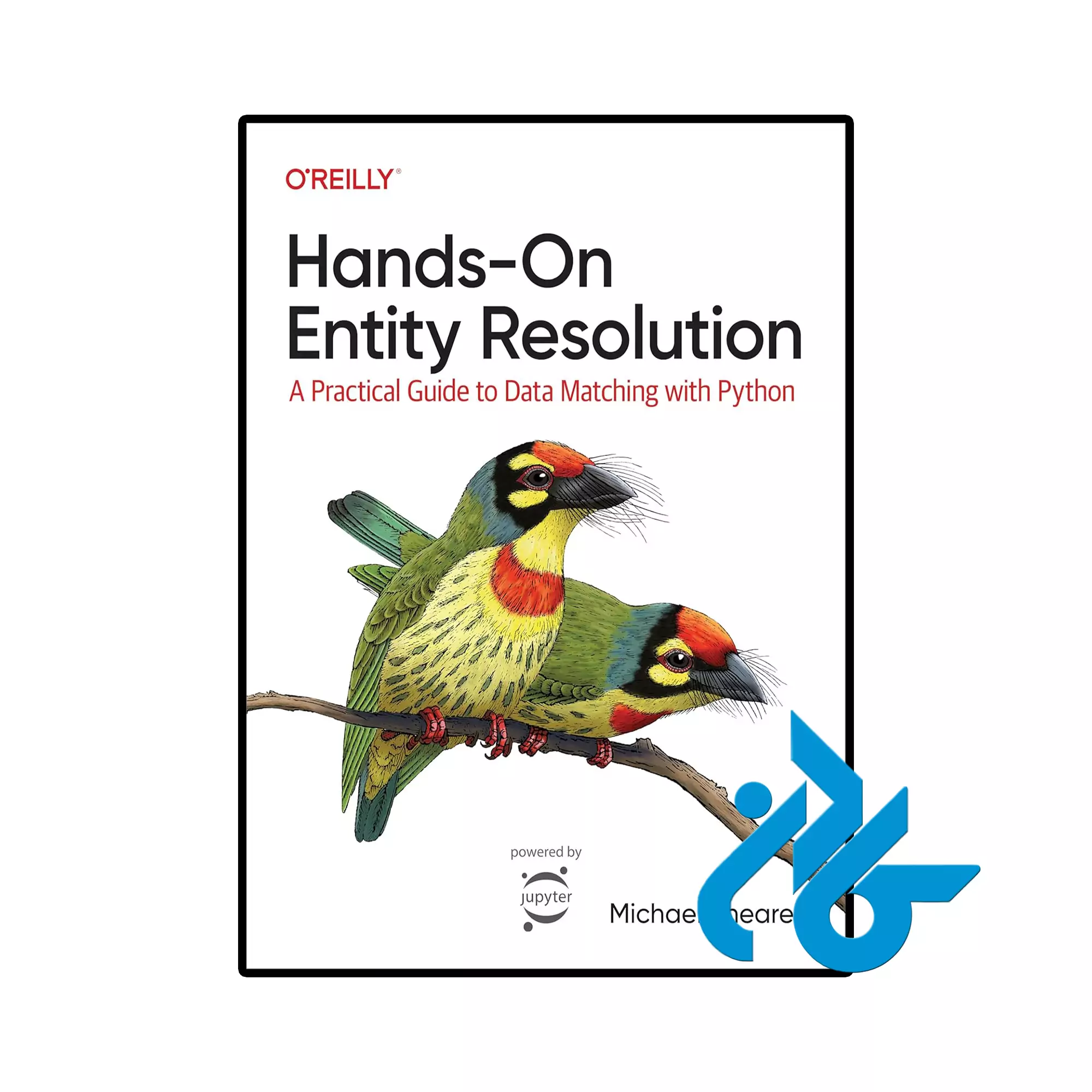 Hands On Entity Resolution خرید و قیمت کتاب Hands On Entity Resolution از فروشگاه کادن