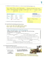 کتاب Schritte International Neu B1.1