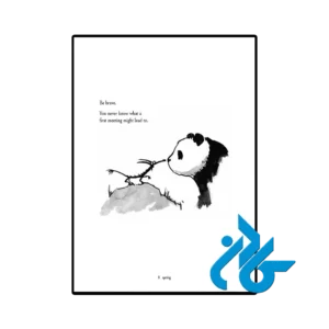 نمونه عکس صفحه اول کتاب Big Panda and Tiny Dragon