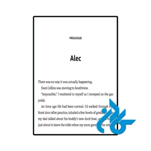 نمونه عکس صفحه اول کتاب Fake Skating