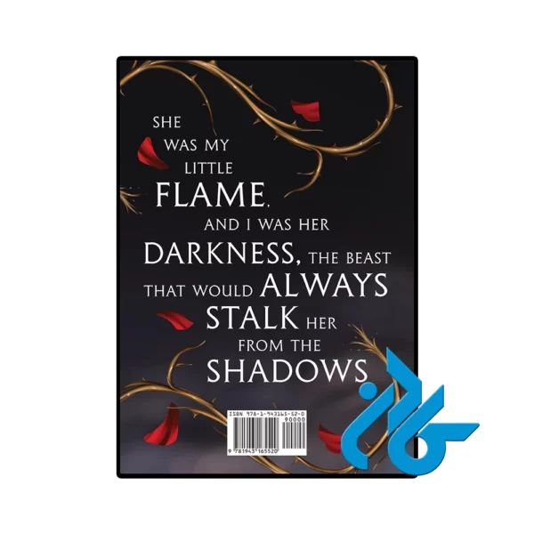کتاب Stalked by Seduction and Shadows (رمان در تعقیب اغوا و سایه‌ها) - تصویر 4