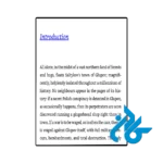عکس کتاب the history of a town