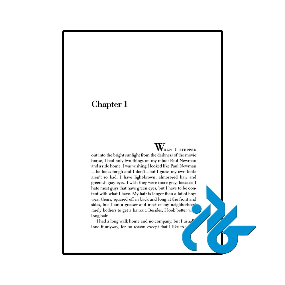 The Outsiders-pic2 کتاب The Outsiders (رمان بیگانگان) - تصویر 2