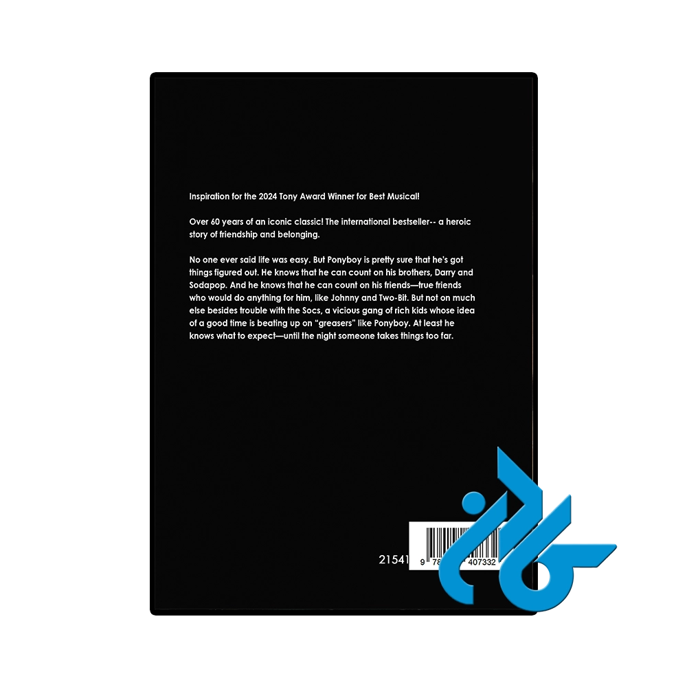 The Outsiders-pic4 کتاب The Outsiders (رمان بیگانگان) - تصویر 4